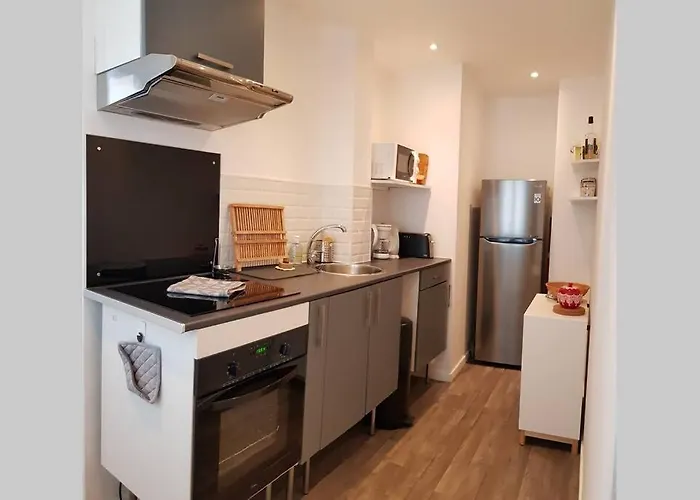 Appartement Cosy Proche Du Chu